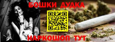 сатива Кингисепп