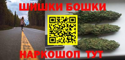 сатива Кингисепп