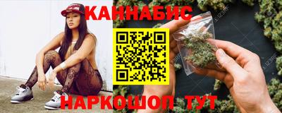 сатива Кингисепп