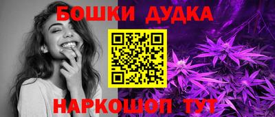 сатива Кингисепп