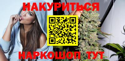 сатива Кингисепп