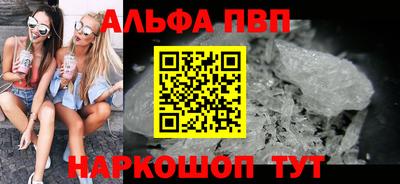 сатива Кингисепп