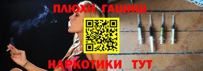 сатива Кингисепп