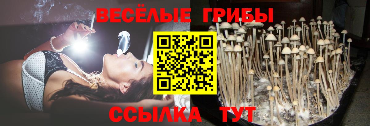 где можно купить наркотик  Вход с VPN  Благовещенск  Галлюциногенные грибы ЛСД 